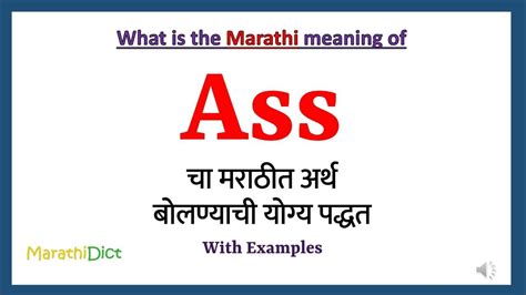 marathi ass|ass meaning in Marathi .